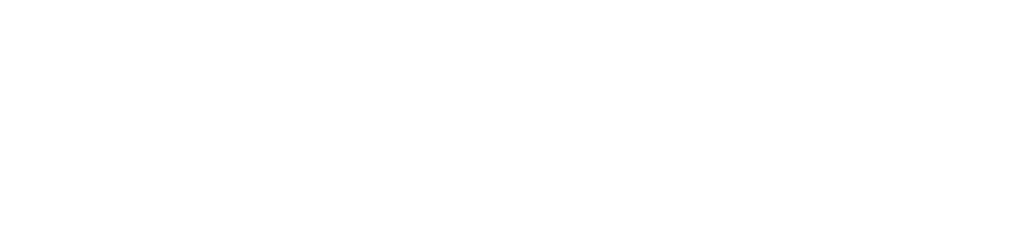 friesfit.nl
